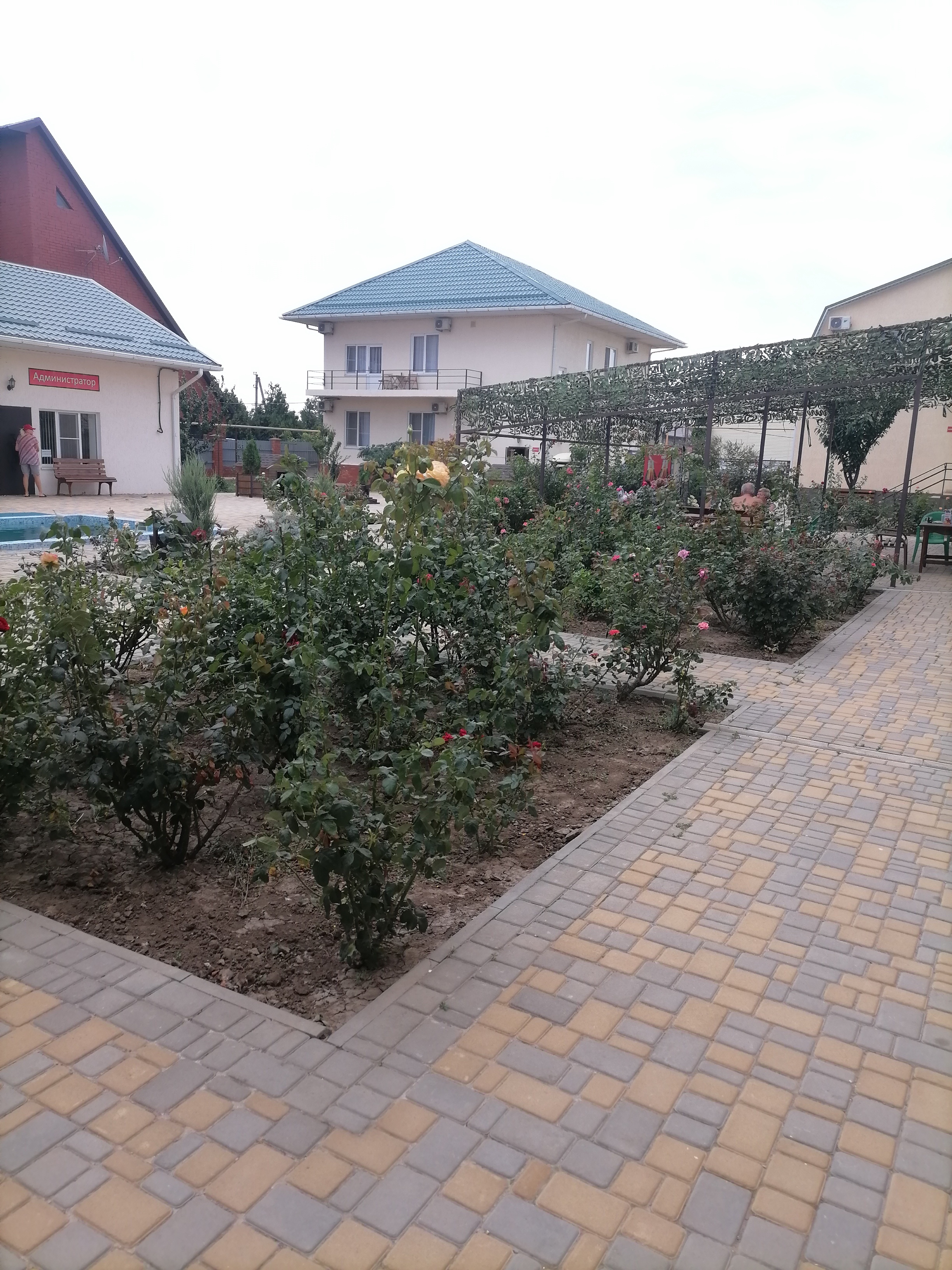 Фото Султан