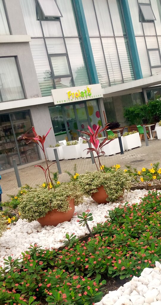 Dairy products wholesale Frolate, Accra, photo