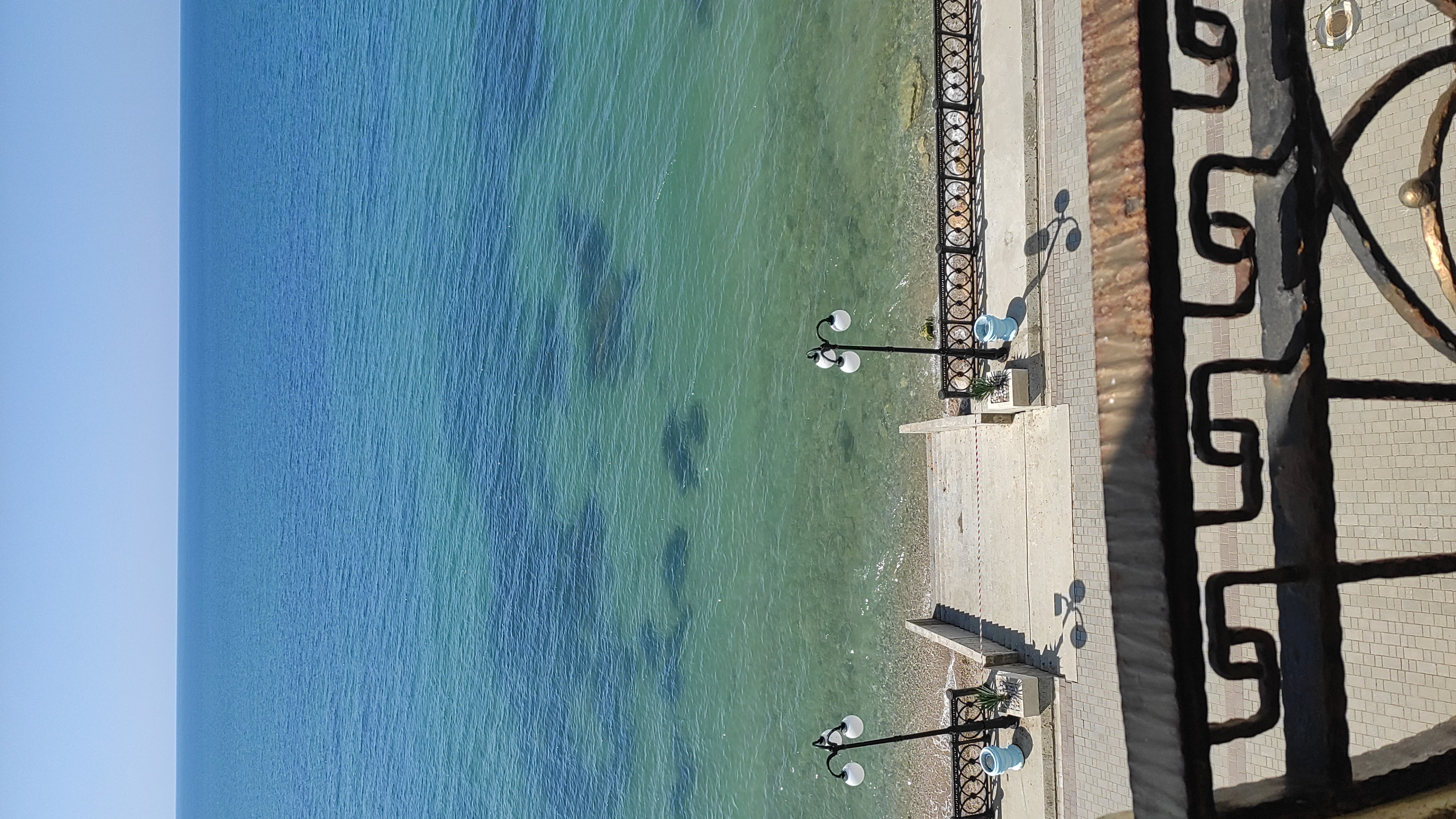 Фото Наш Парус