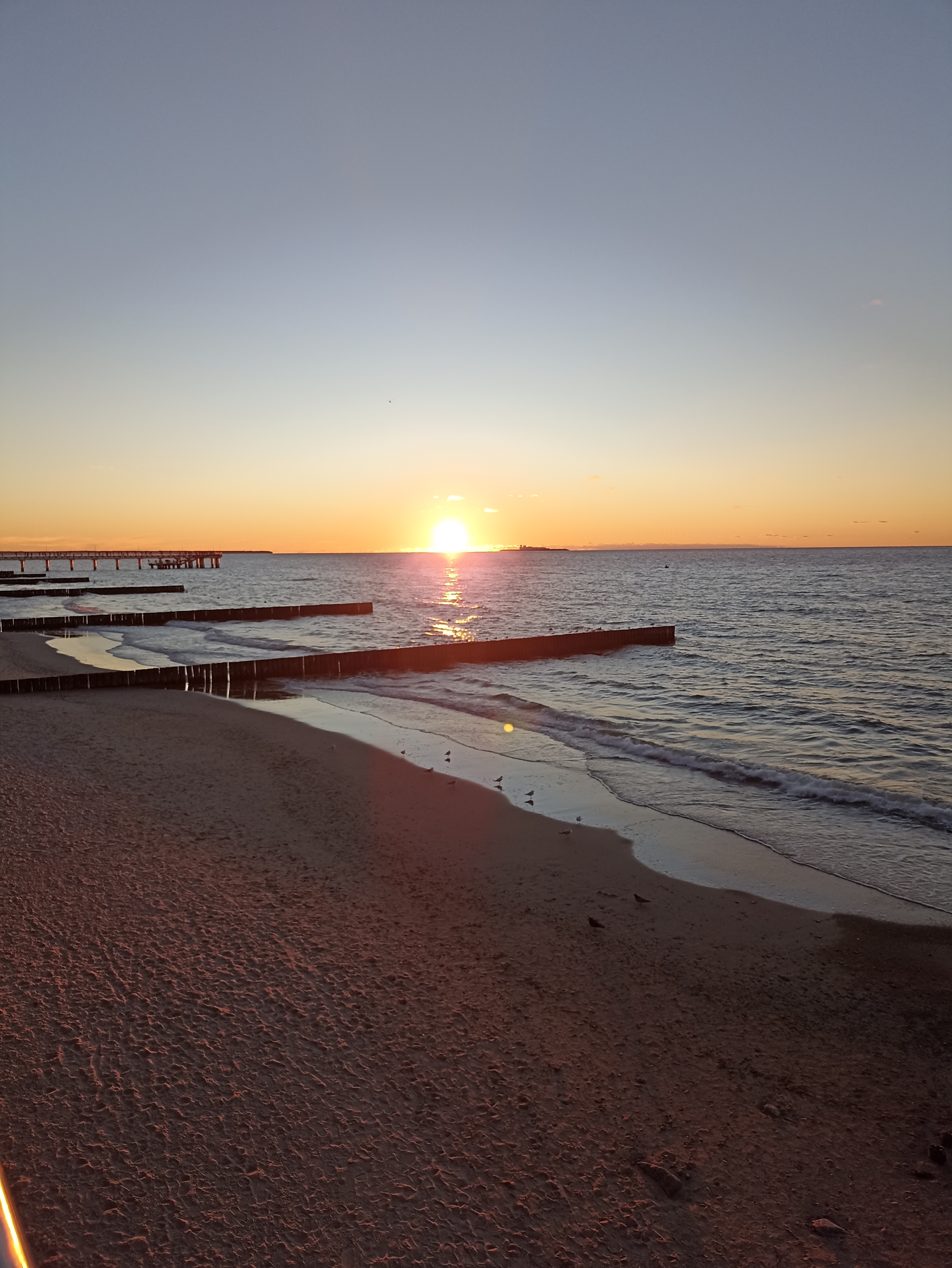 Фото Элиза ИНН