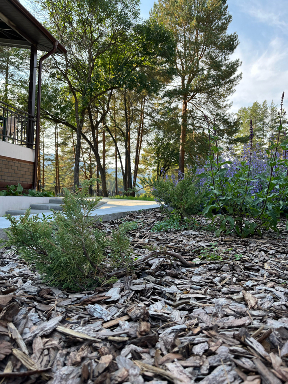 Фото Эко-отель Чемал