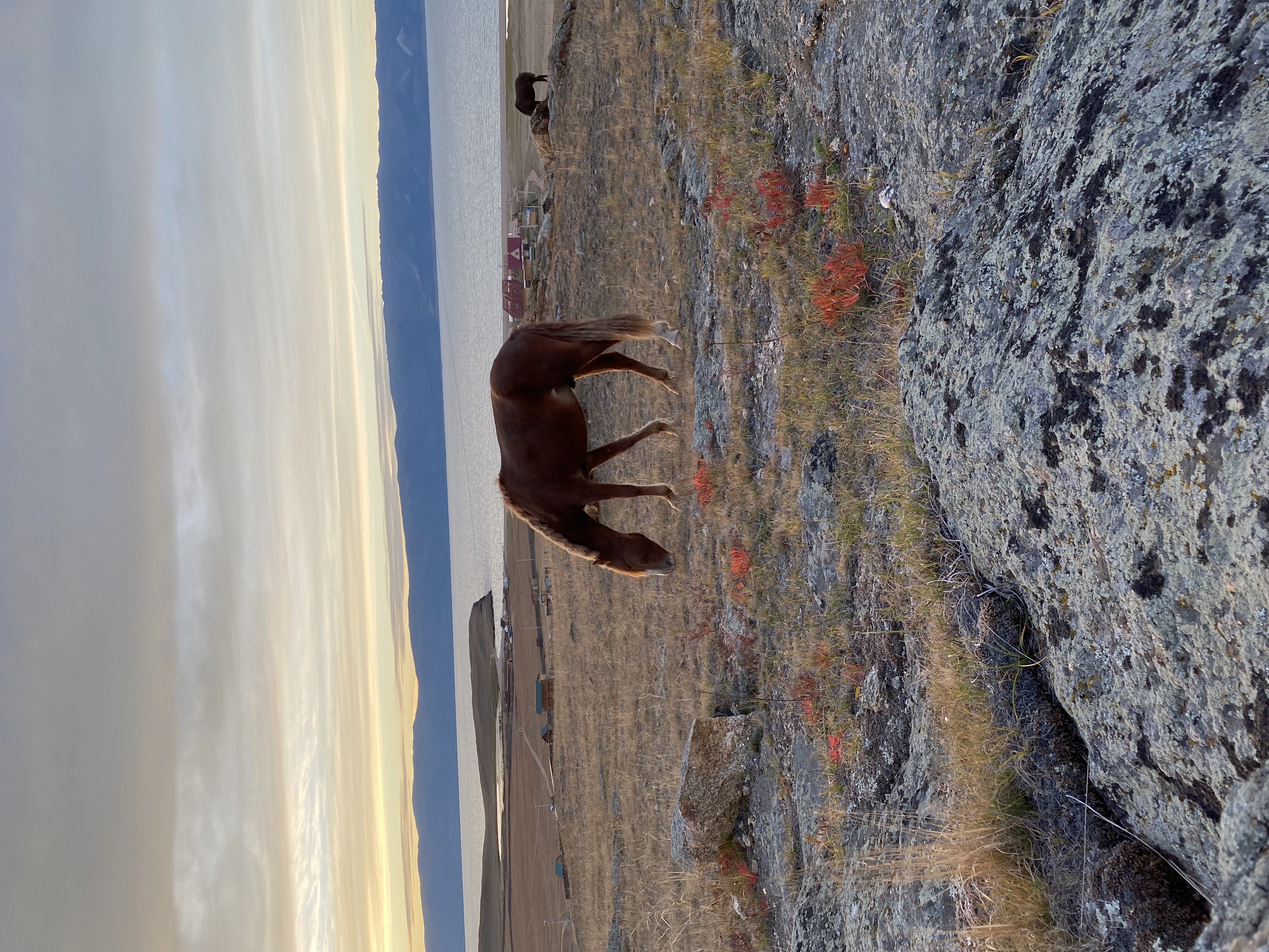 Фото Байкал Вью