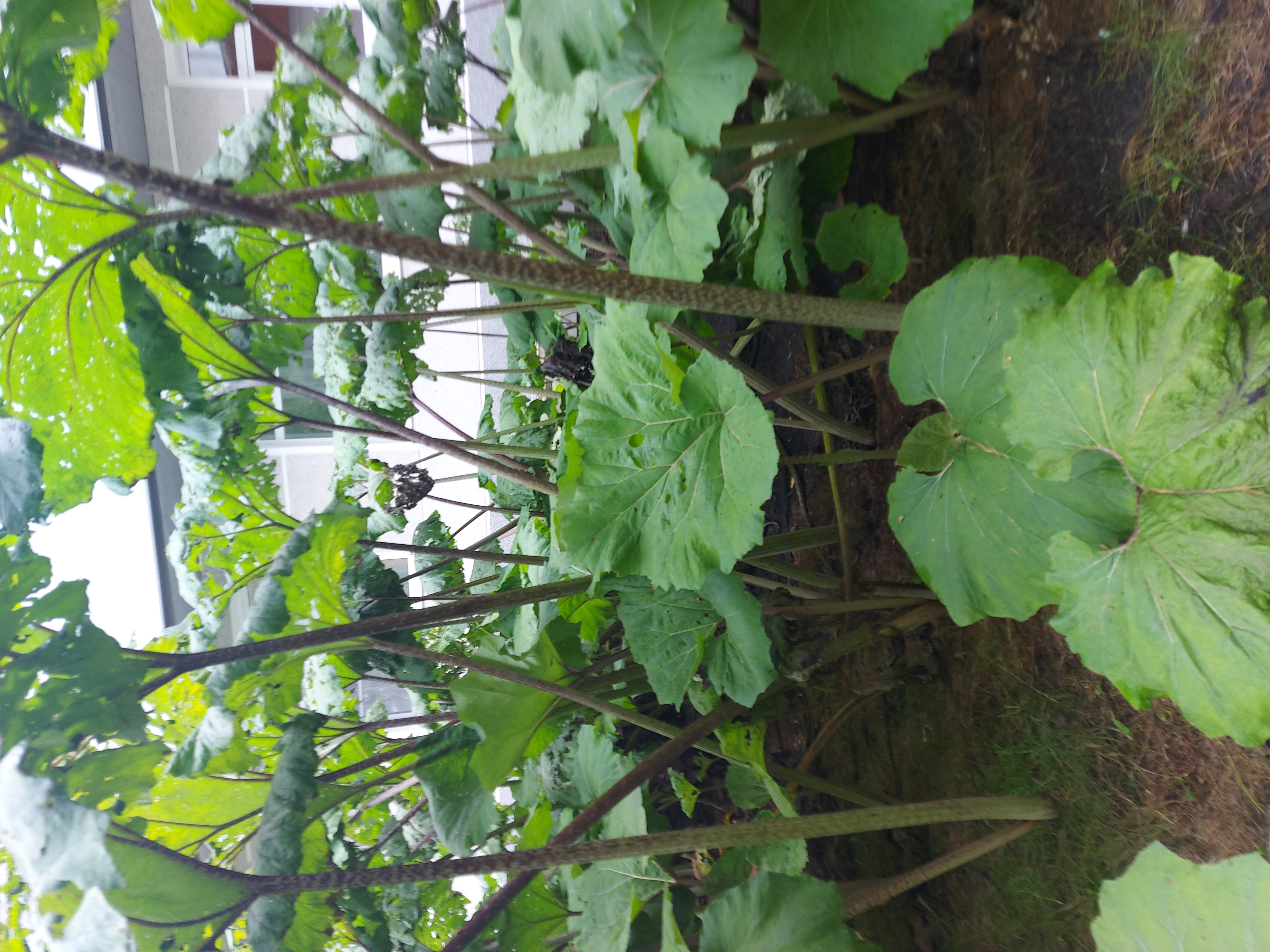 Фото Бодрость