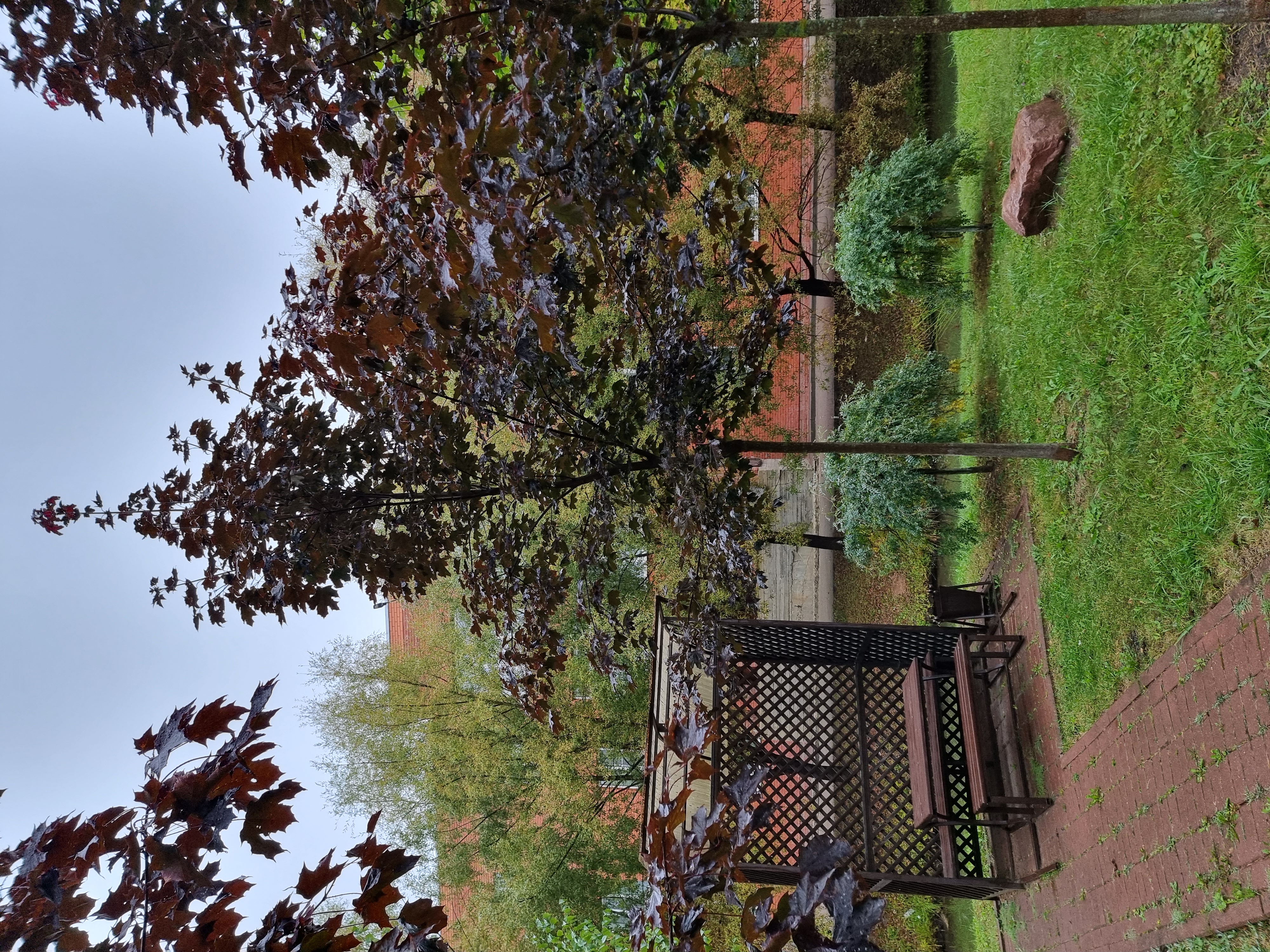 Фото Грин Парк