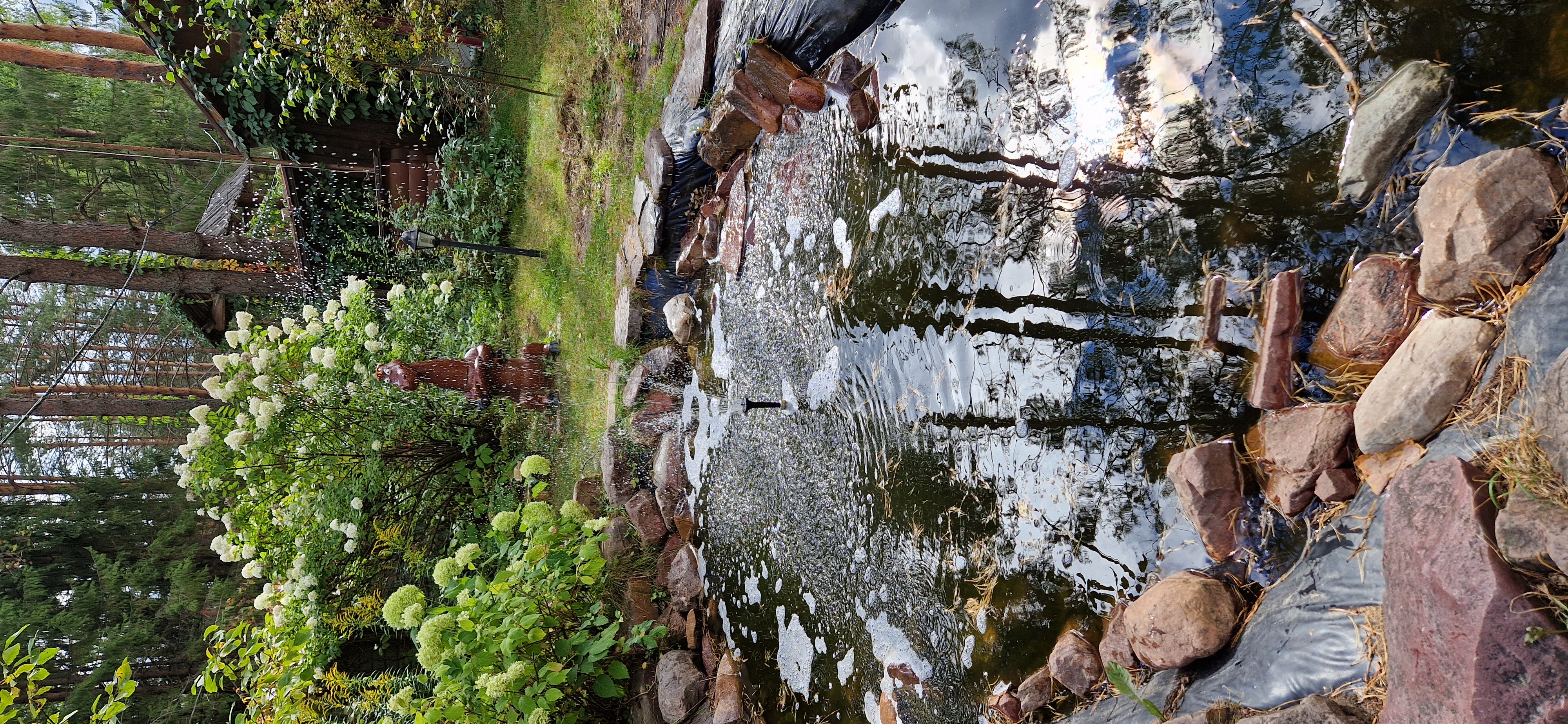 Фото Ягодная деревушка