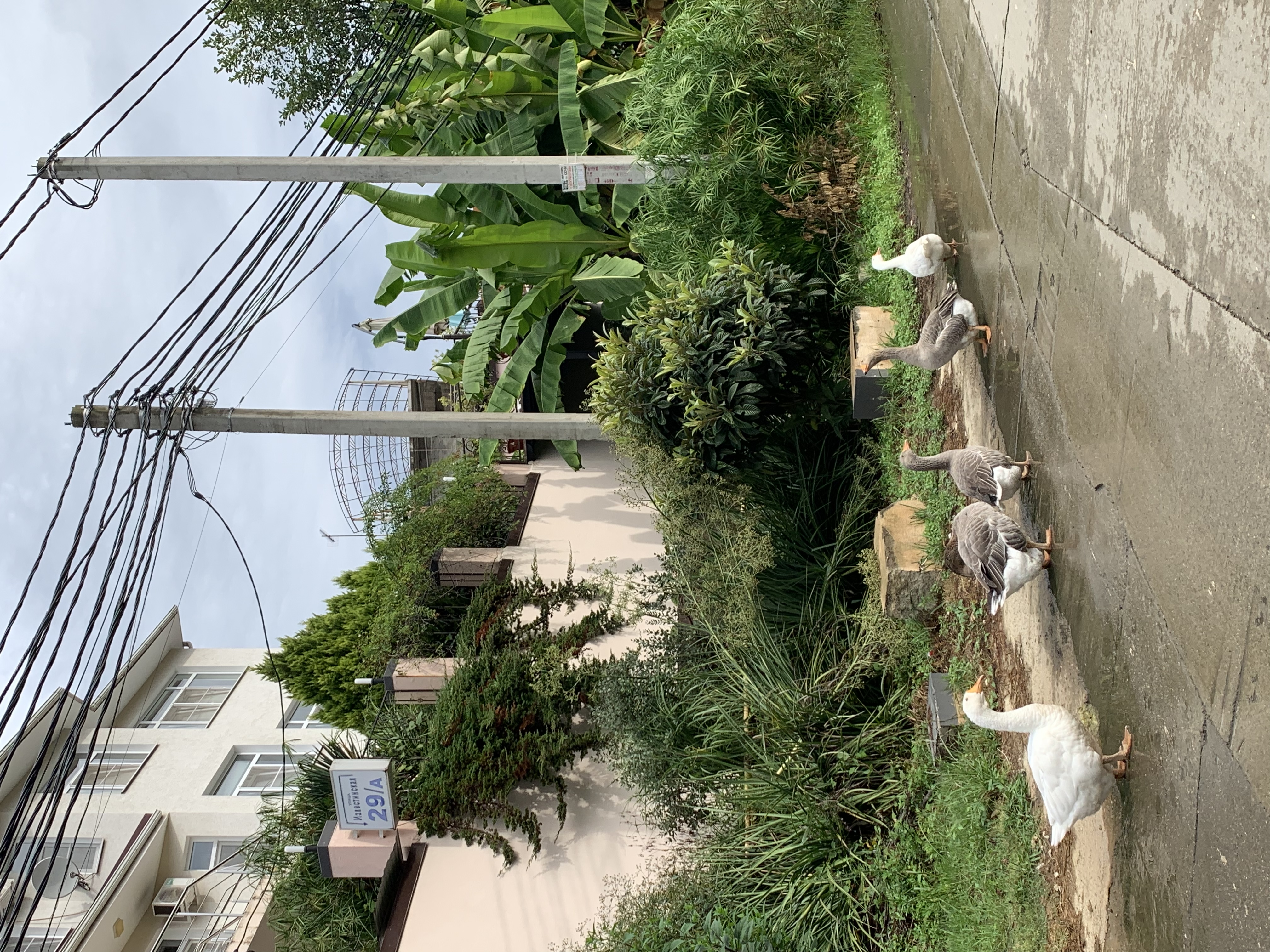 Фото Сибирь