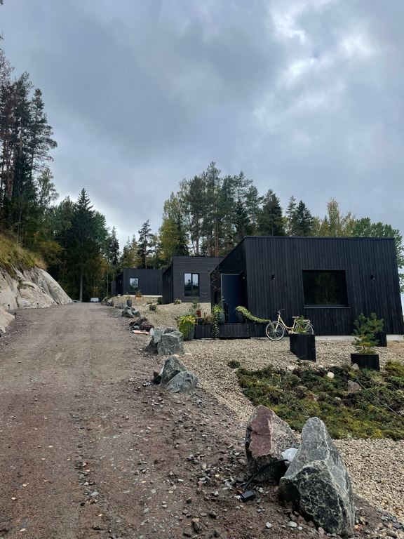 Фото Шелест