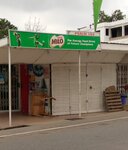 Psalms 103 (Pawpaw Street, 20), grocery