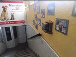 Академ-сервис (просп. Победы, 226А, Казань), ветеринарная клиника в Казани