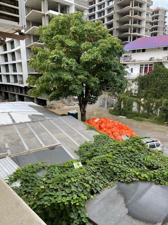 Фото Family Holiday Hotel