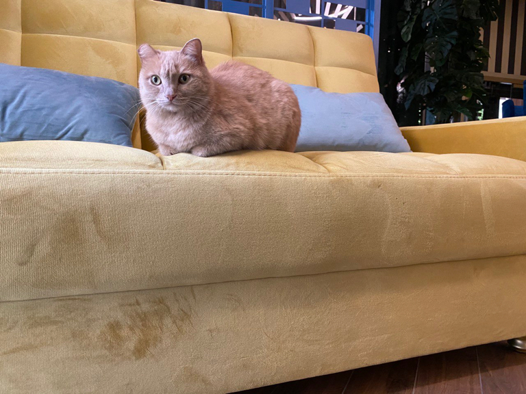 Фото Villa de Idalgo