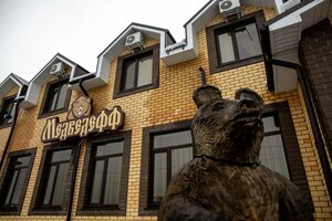 Гостиница Медведефф в Ульяновской области