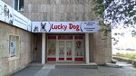 Lucky dog (Степной-3 шағын ауданы, 3), мал дәрігерлік клиника  Қарағандыда