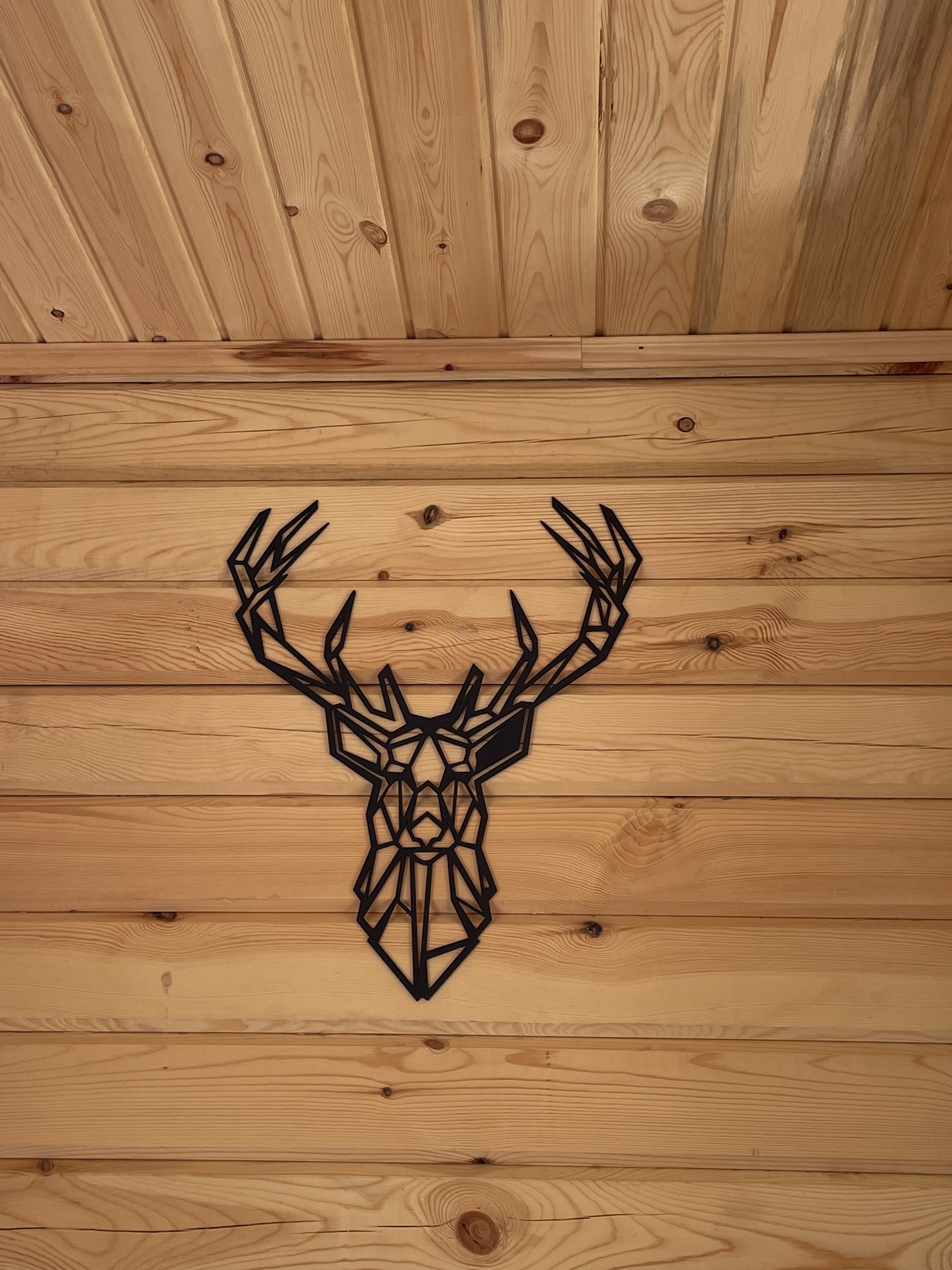 Фото Горный орел