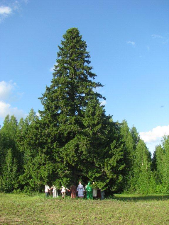 Фото Этнокомплекс Живица