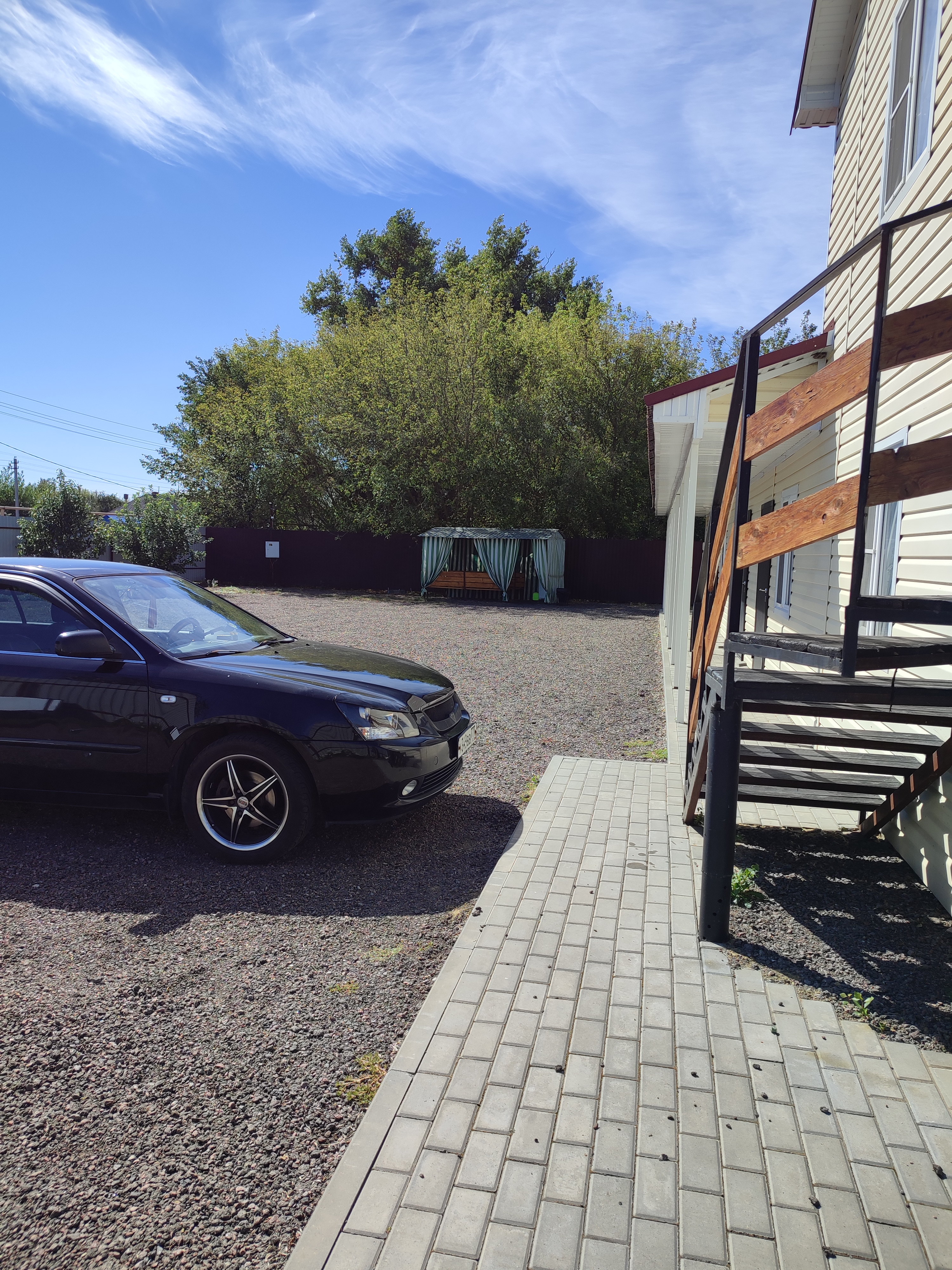 Фото Березка