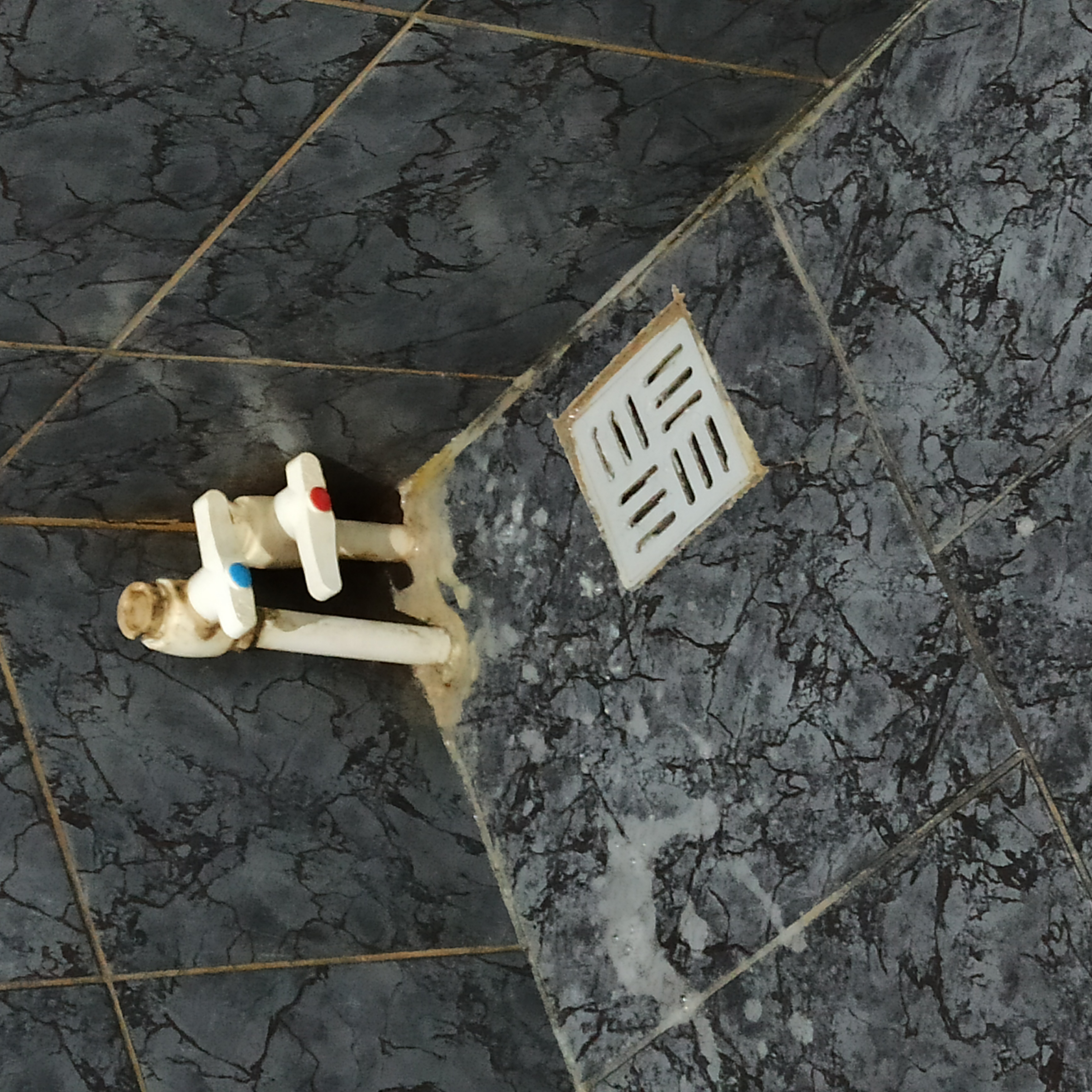 Фото Тихий Дон