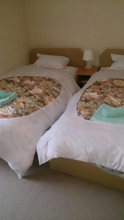 Фото Hakuba Windy Lodge