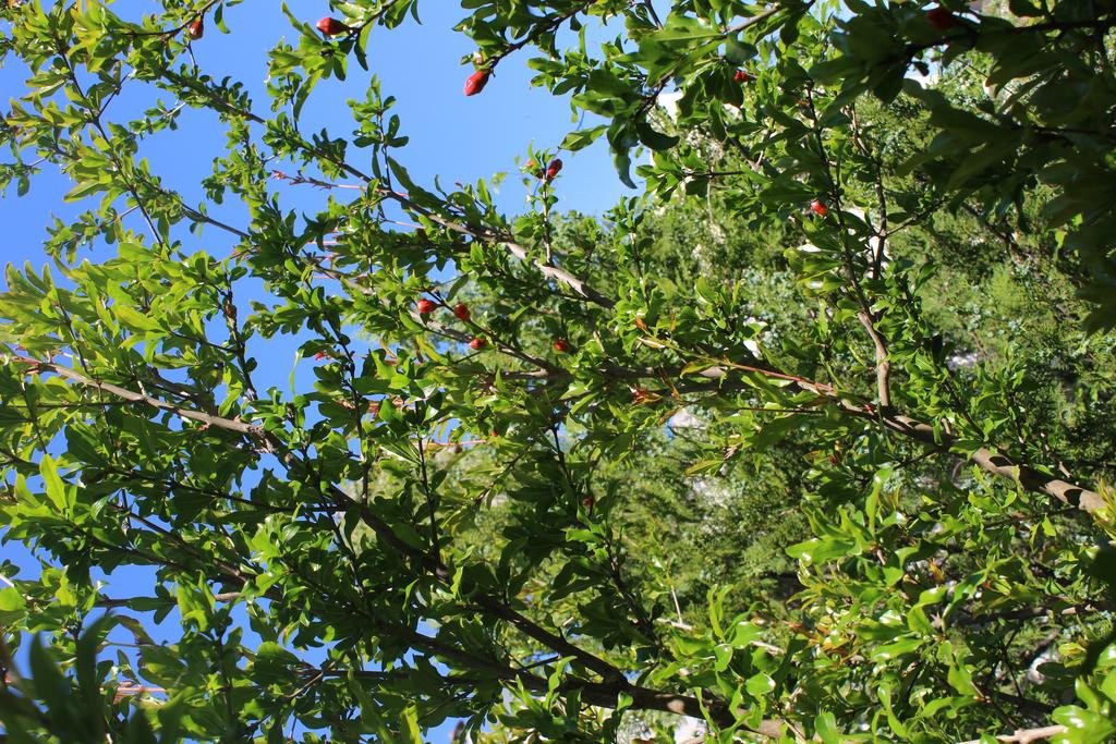 Фото B&b Al Centro Storico 21