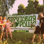 Березовая роща