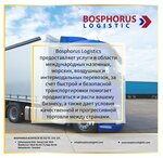 Bosphorus Logistics (İstanbul, Bahçelievler, Sanayi Cad., 44D), logistics company