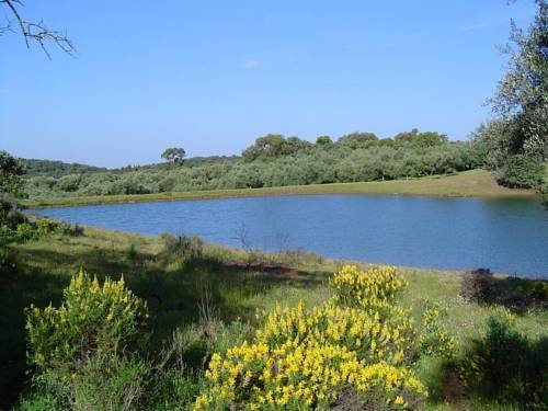 Фото Las Navezuelas