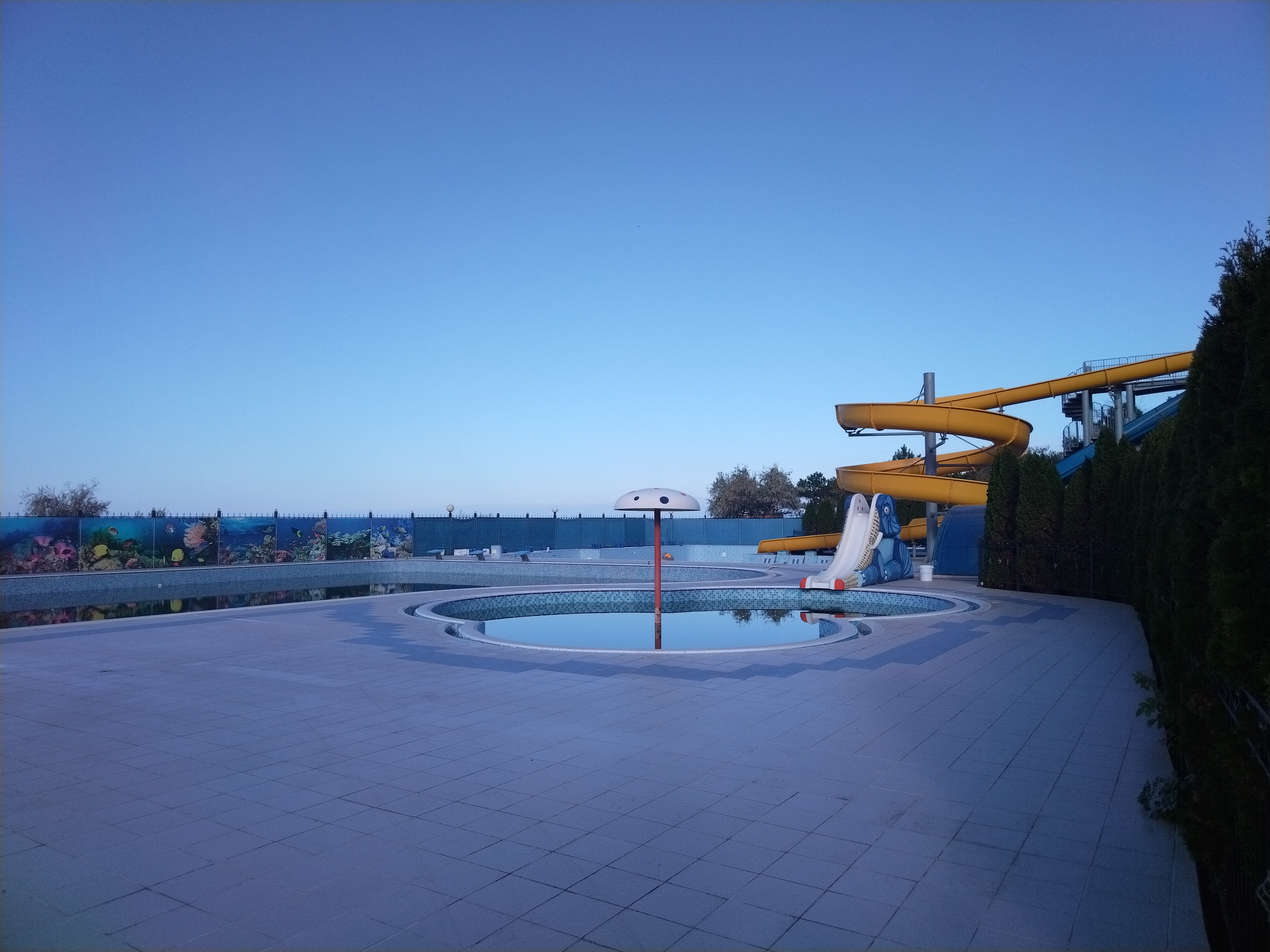 Фото Солнечный