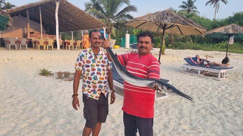 Внешний вид отеля Гостевой Дом Lazy Frog Goa в Кармоне, фото 3