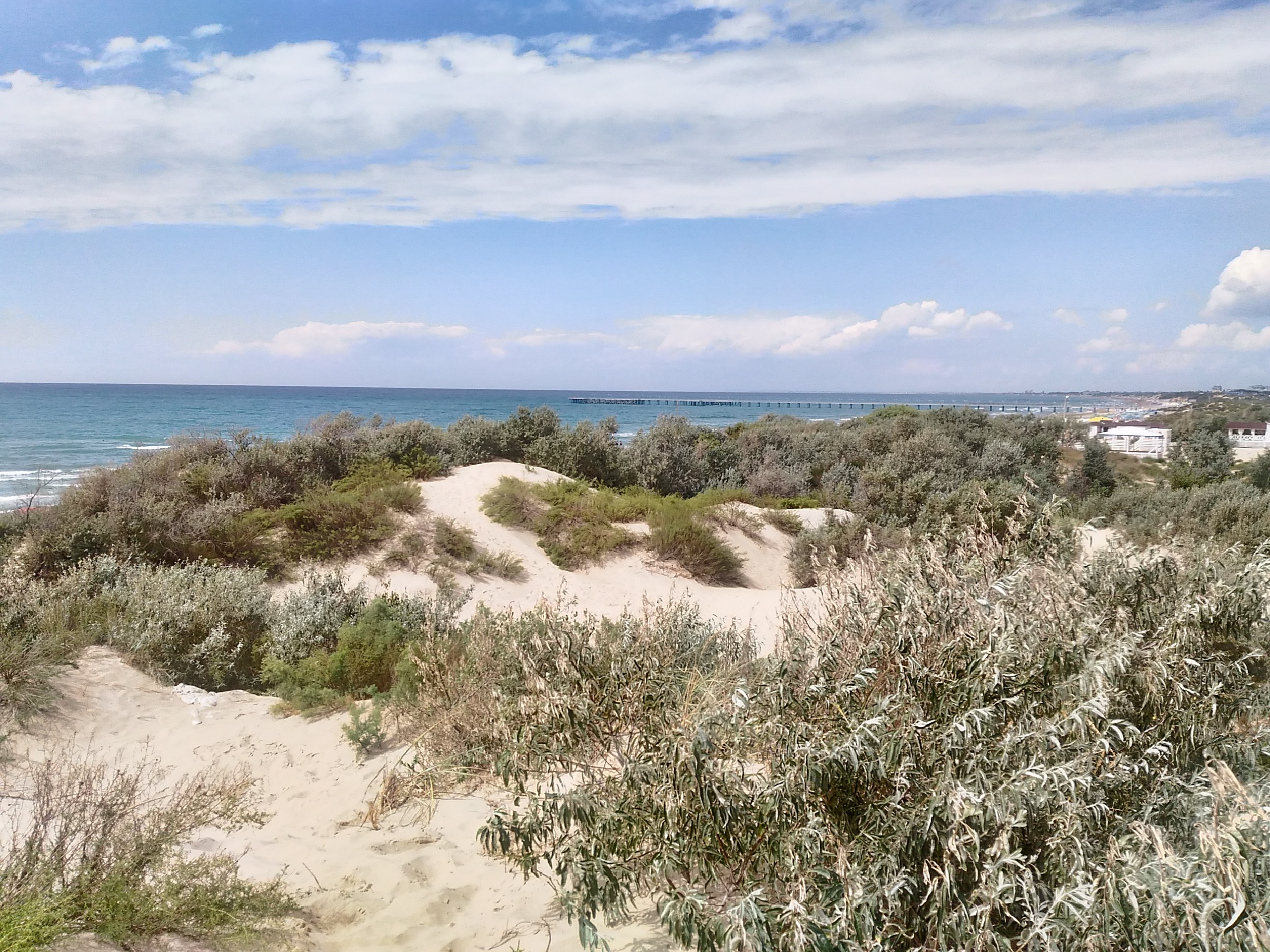 Фото Фантазия