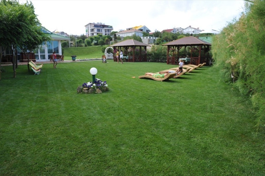 Фото Вязовая роща