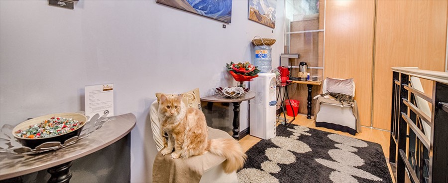 Фото АртАпарт