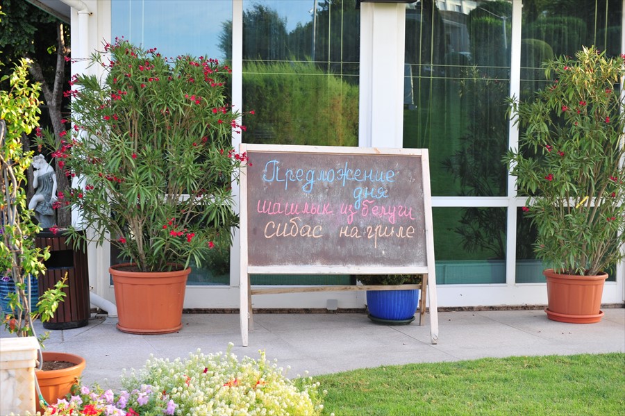 Фото Вязовая роща