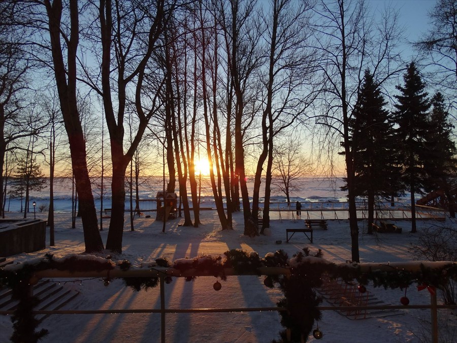 Фото Репинская