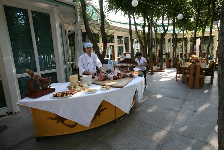 Фото Вязовая роща