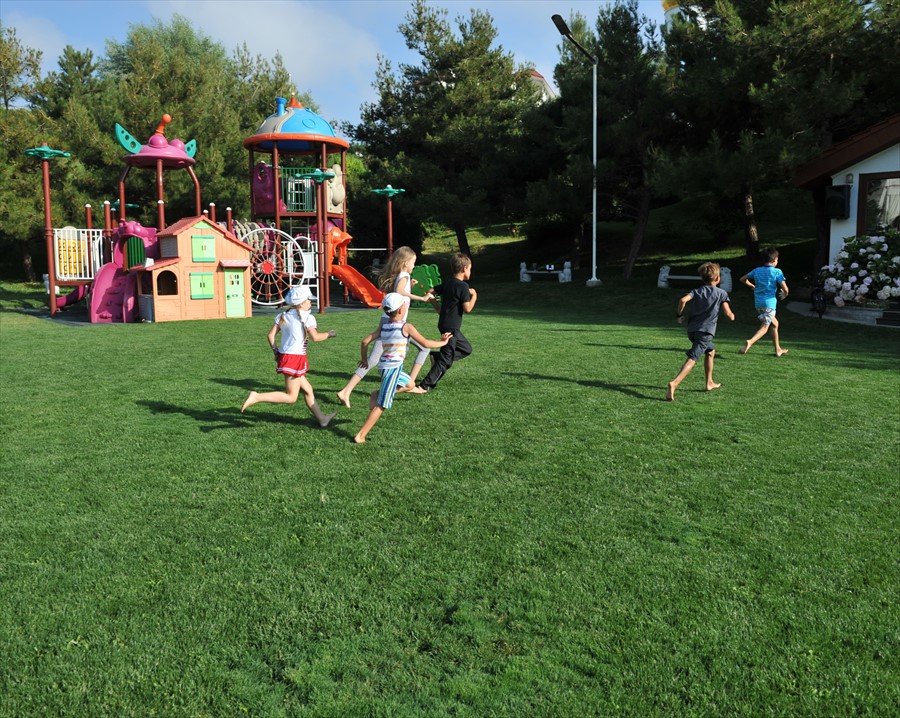 Фото Вязовая роща