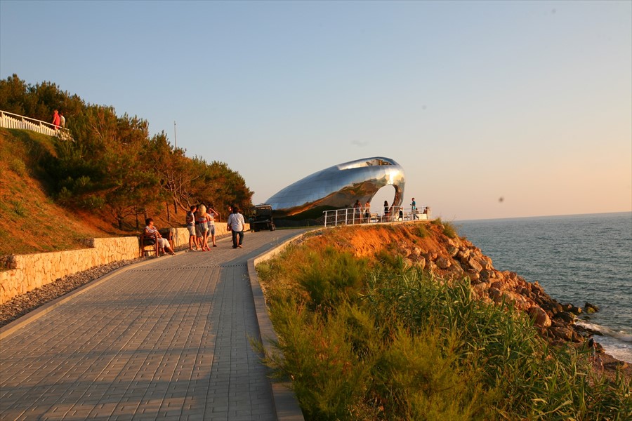 Фото Вязовая роща