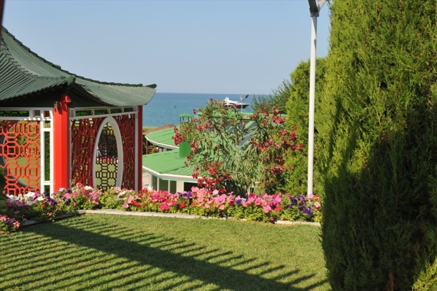 Фото Вязовая роща