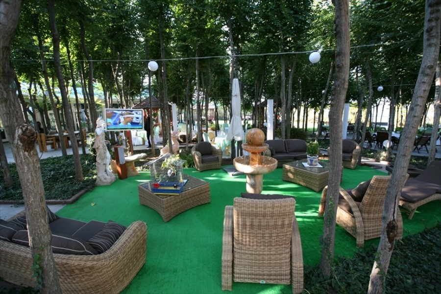 Фото Вязовая роща