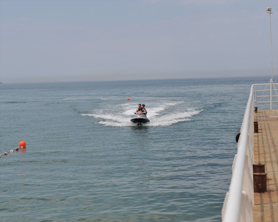 Фото Вязовая роща