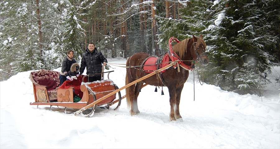 Фото Яхонты Ногинск