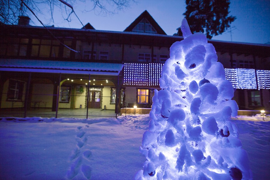 Фото Арт-отель Пушкино