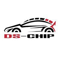 Ds-chip