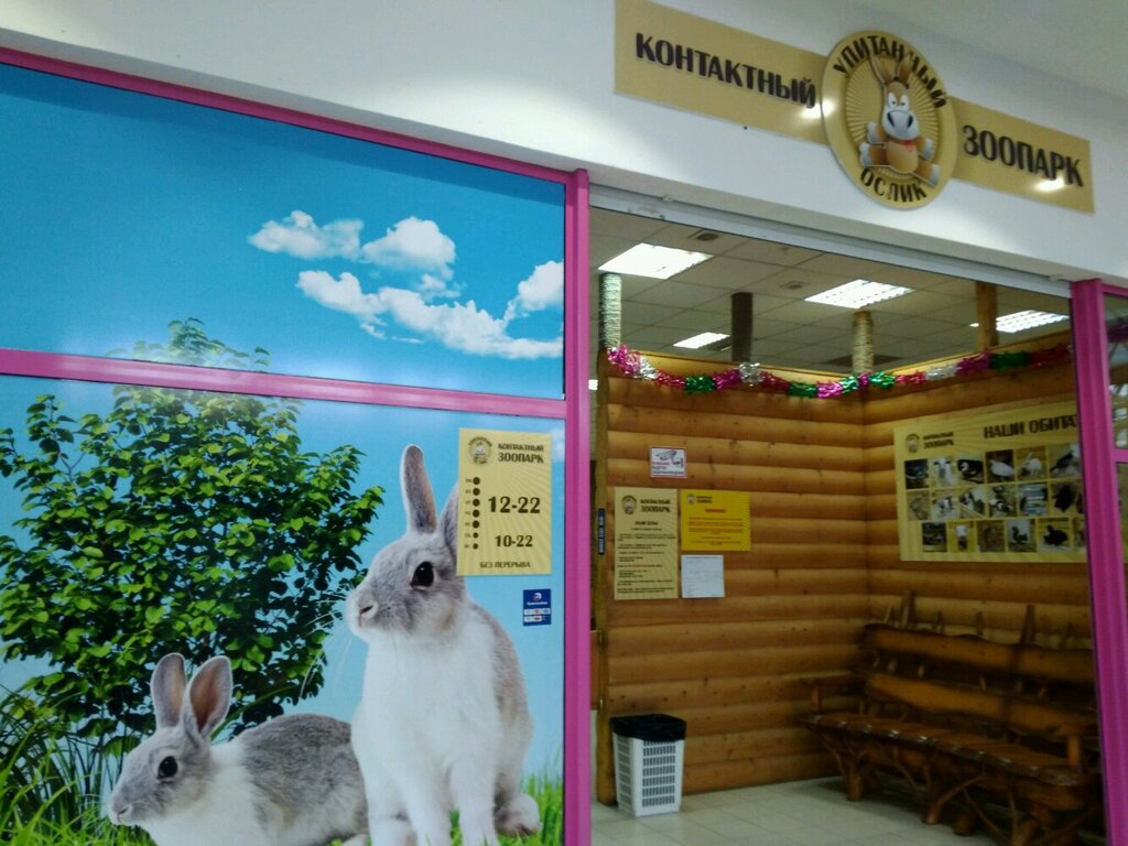 حديقة الحيوانات Kontaktny zoopark Upitanny oslik ، موسكو ومحافظة موسكو، صورة