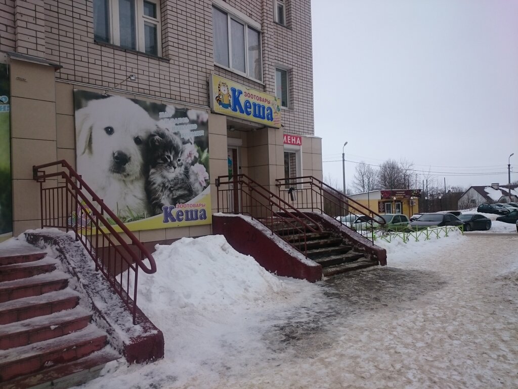 Магазин Кеша Смоленск Сайт