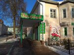 Природа (ulitsa Ostrovskogo, 23), flower shop