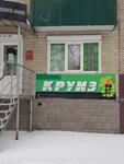 Turfirma Kruiz (Kulakova Street, 10) ، وكالة أسفار