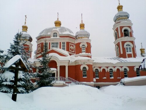 Sivil toplum kuruluşları АНО центр защиты материнства Умиление, Kazan, foto