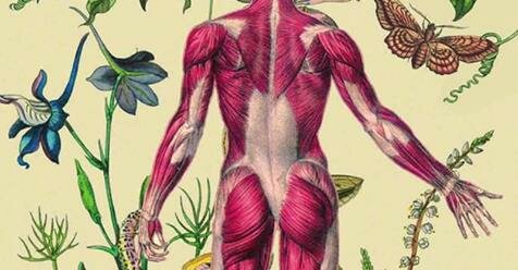 Sağlık merkezleri Shkola zdorovya Nadezhda, Soçi, foto