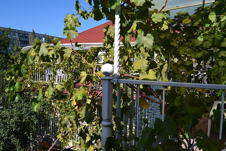 Фото Гостевой дом на Украинской