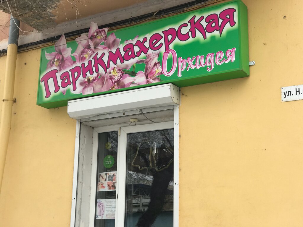Орхидея ул баскакова 14 фото